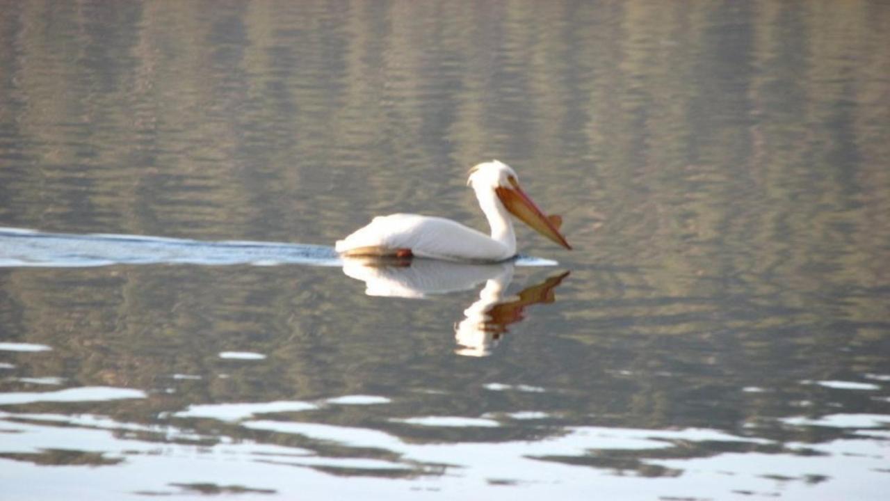 FawnskinFeathernest On The Lake别墅 外观 照片